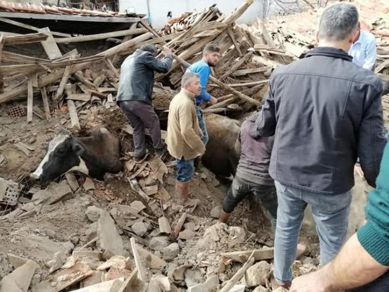 DEPREM KORKUTTU; CAN KAYBI OLMAMASI TESELLİ KAYNAĞI OLDU