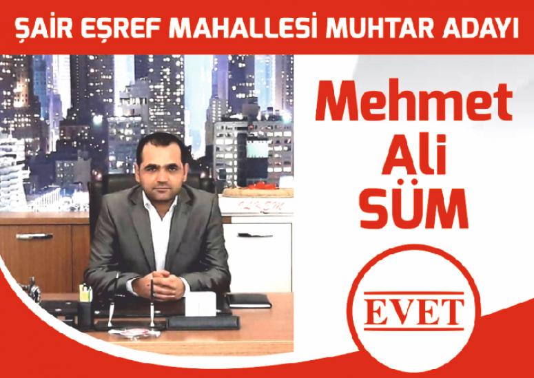 ŞAİR EŞREF MAHALLESİ MUHTAR ADAYI MEHMET ALİ SÜM